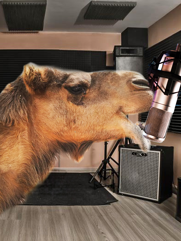 Kulturbüro Frankfurt CDs