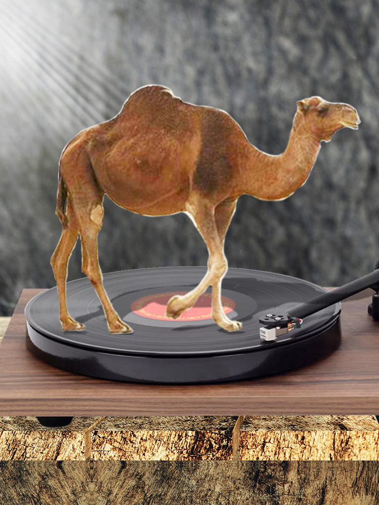 Kulturbüro Frankfurt LPs