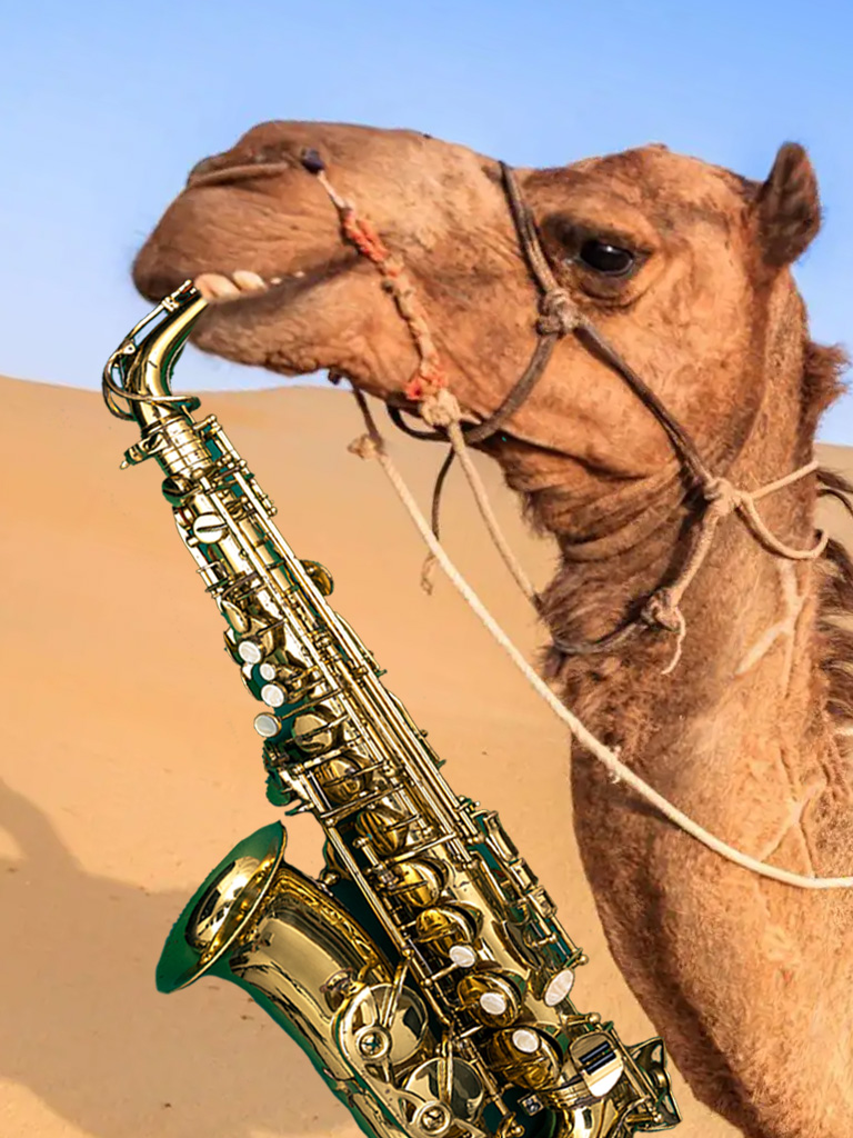 Kulturbüro Frankfurt Lesungen