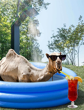 Kulturbüro Frankfurt Events